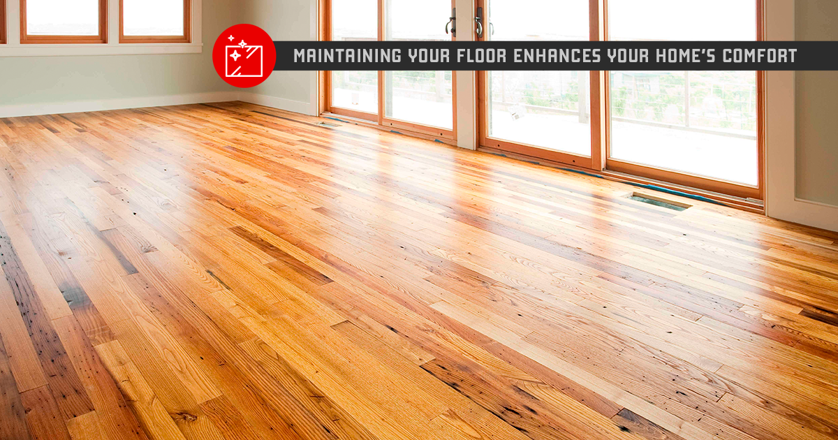 The Ultimate Guide to Caring for Your Floors